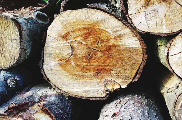 出售樹(shù)木時(shí)收獲的主要木材產(chǎn)品-您在木材銷售時(shí)可能擁有的林產(chǎn)品