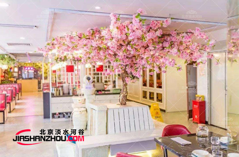 如何管理和維護毛泡桐樹-仿真樹廠家溫馨提示