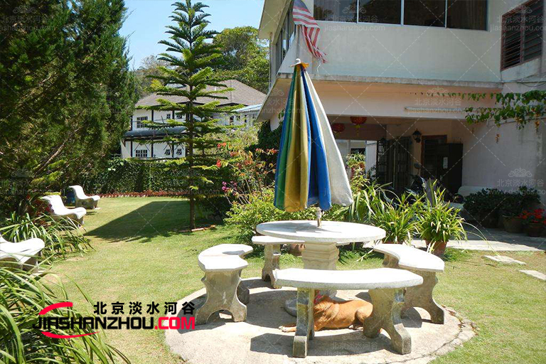 仿真樹留住美瞬間-歐式別墅道黃杉場景效果圖賞析