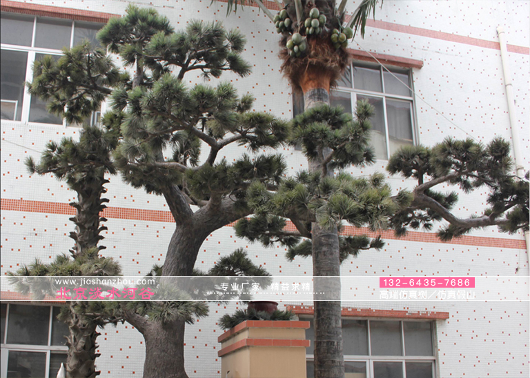 火炬松仿真樹北美百強(qiáng)假樹模擬對象-東南地區(qū)具商業(yè)意義的樹木之一