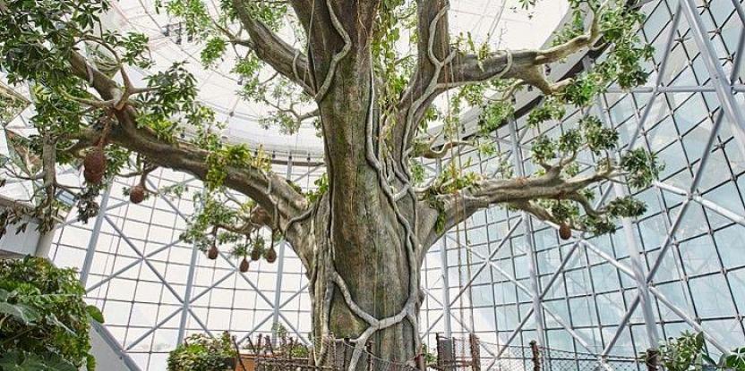 喜歡制作仿真樹喜歡仿真樹攝影他能發(fā)現(xiàn)假樹的靈魂