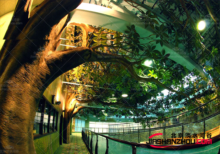 永遠不要低估仿真樹的作用大膽的著色可以真正為房屋美麗加分