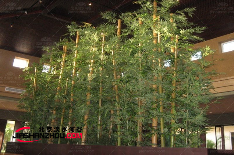 仿真樹不是隨便陳設(shè)的它合適布置在什么地方