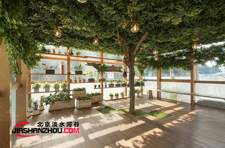 十大人造多肉質植物仿真樹配飾專家為您傾情推薦