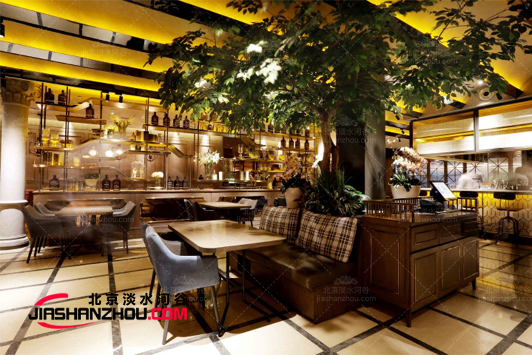 在廠家了解美國受歡迎的城市遮蔭樹-榆樹的相關信息