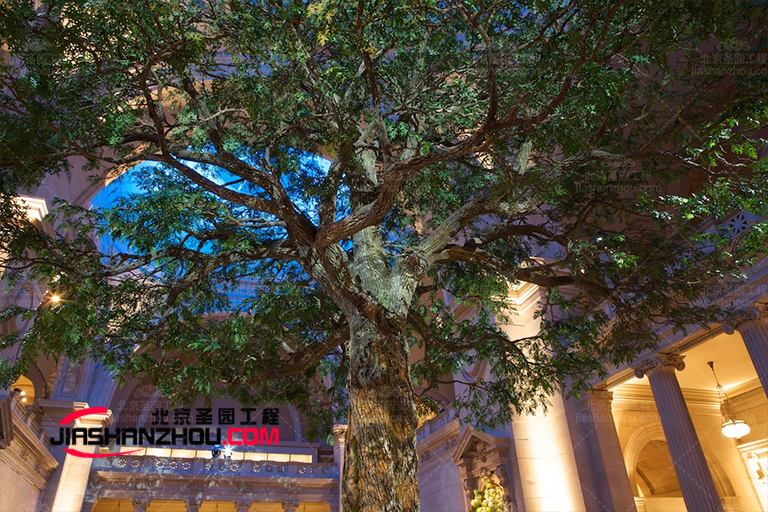 人造仿真樹特寫-北京廠家多種人造仿真樹設計及功能