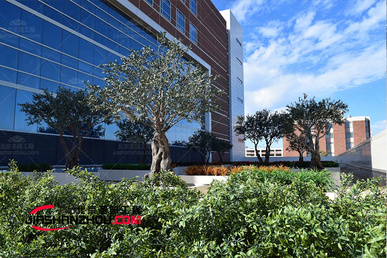 用仿真樹景觀布置讓您的室內外猶如度假村一般值得一游