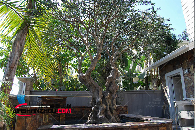 在院子里使用人工室外仿真樹植物-來自山西大同客戶的照片