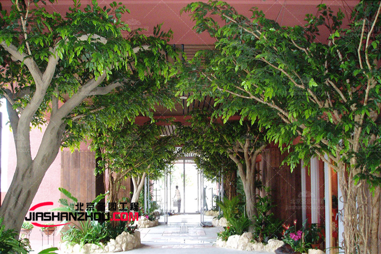 仿真樹種類豐富專業設計生產廠家一站式服務