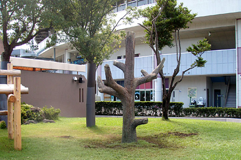 室外空間放置仿真樹遮陽時(shí)可以避免陽光直射