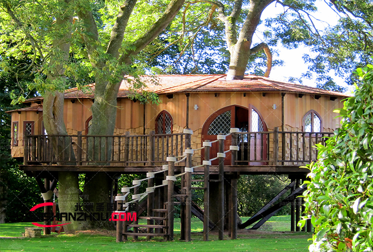 使用天然和人工室外仿真樹植物增強環境吸引力