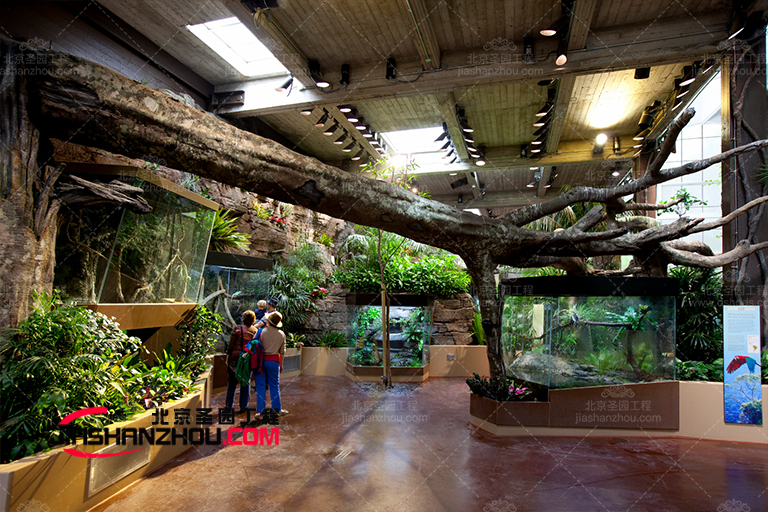 仿真樹植物是完美的室內外空間配飾方法