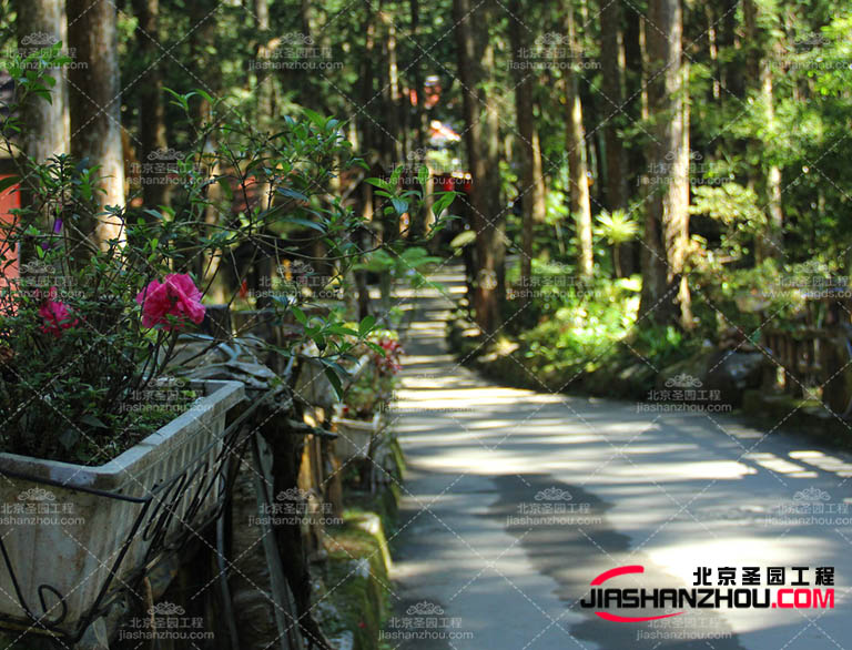 仿真樹(shù)的可塑性賦予園林造景的能力