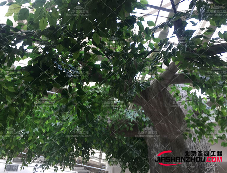 LED燈裝飾仿真樹 創造真實自然的綠色景觀