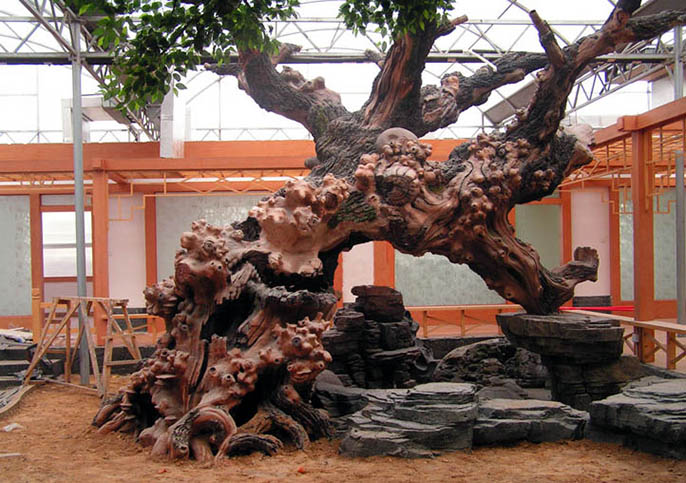 假山假樹(shù)