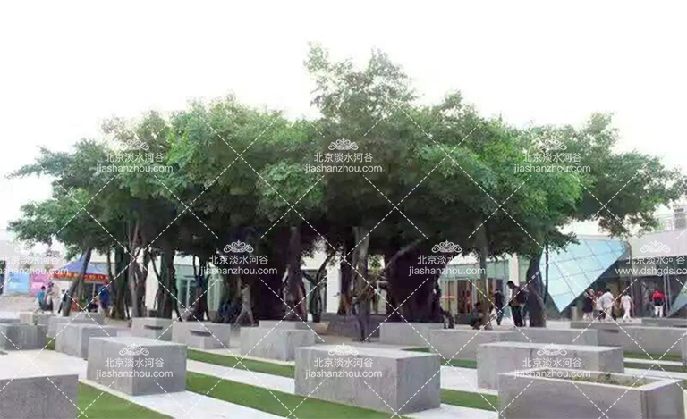 仿真樹(shù).jpg 仿真樹(shù)