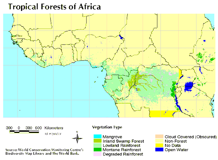 非洲雨林.jpg 非洲雨林