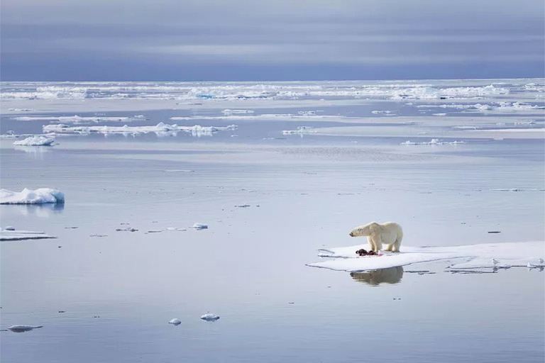 全球變暖.jpg 全球變暖