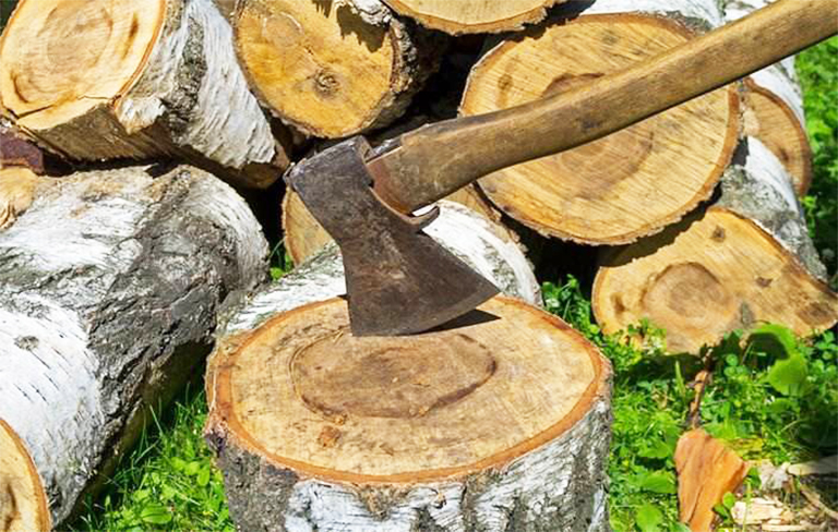 森林砍伐.jpg 森林砍伐