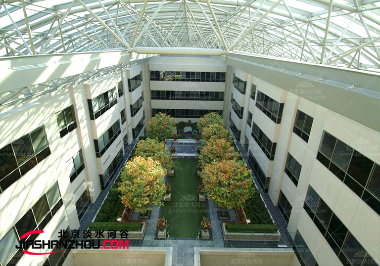 仿真樹(shù).jpg 仿真樹(shù)