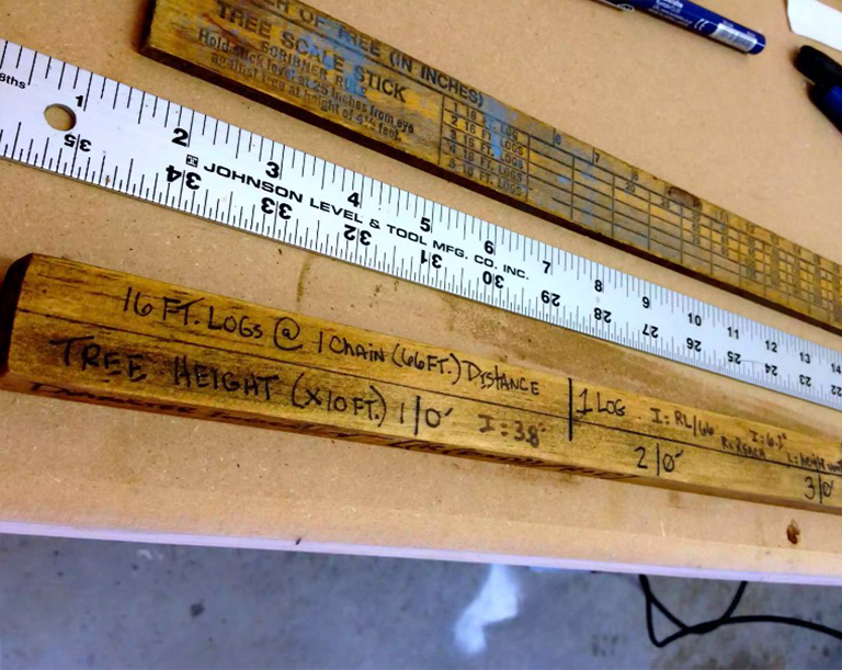 一棵樹的高度在巡洋艦棍子上.jpg 一棵樹的高度在巡洋艦棍子上