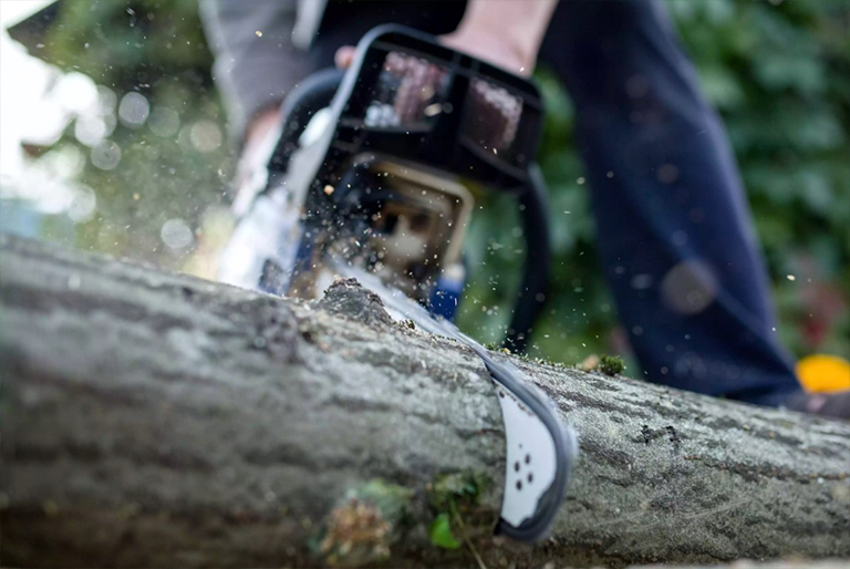 鋸的反作用力.jpg 鋸的反作用力