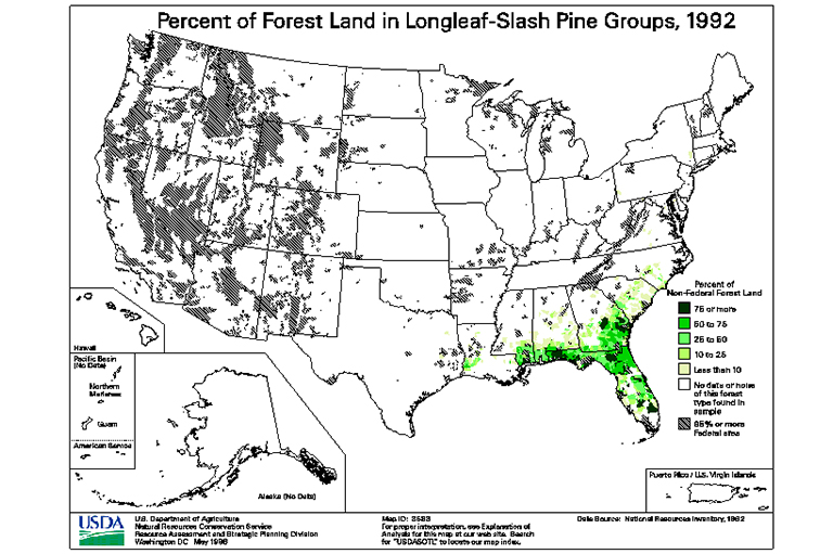 長葉斜線松樹類型地圖.jpg 長葉斜線松樹類型地圖