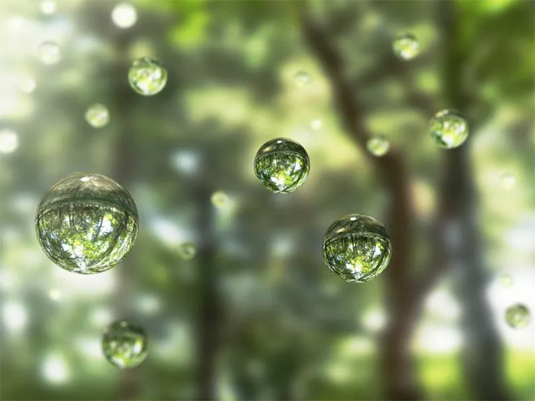 樹木通過根和葉吸收和蒸發水分的過程.jpg 樹木通過根和葉吸收和蒸發水分的過程