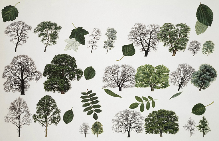 柳樹插圖.jpg 柳樹插圖