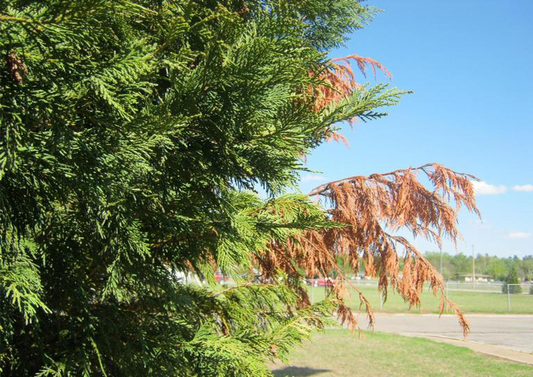 1588227391412689.jpg 3.jpg