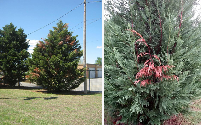 1588227399897866.jpg 2.jpg