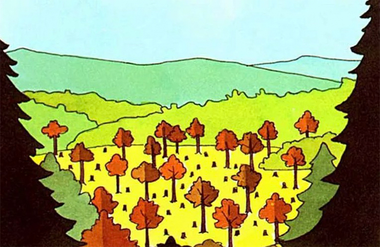 樹木均勻采伐方法.jpg 樹木均勻采伐方法