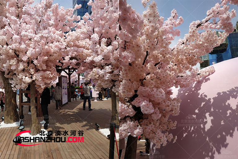 仿真樹(shù).jpg 仿真樹(shù).jpg