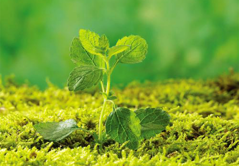 地球日.jpg 地球日