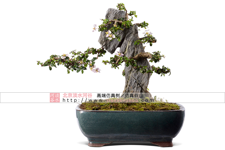 仿真樹(shù)